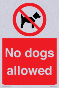 No dogs allowed